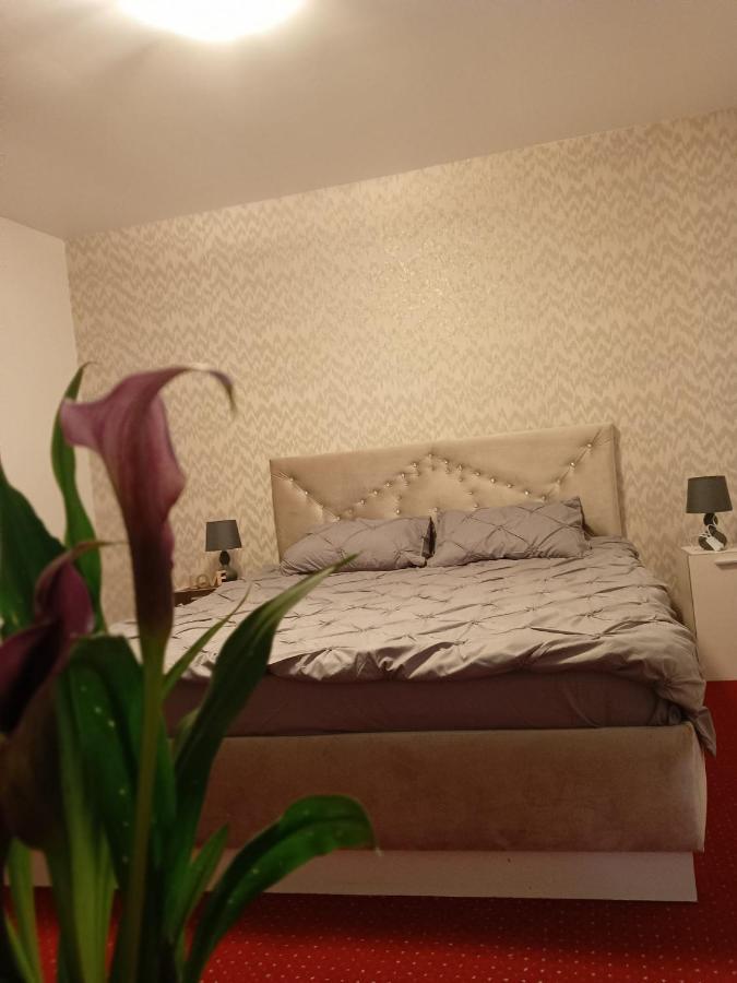Karina House Apartment Брашов Екстериор снимка