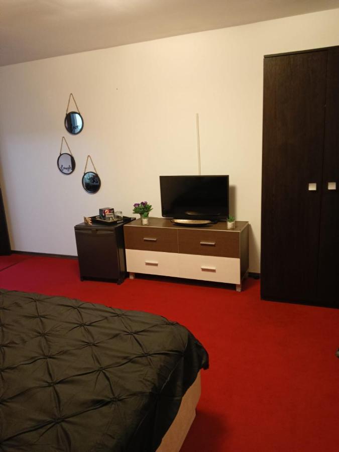 Karina House Apartment Брашов Екстериор снимка