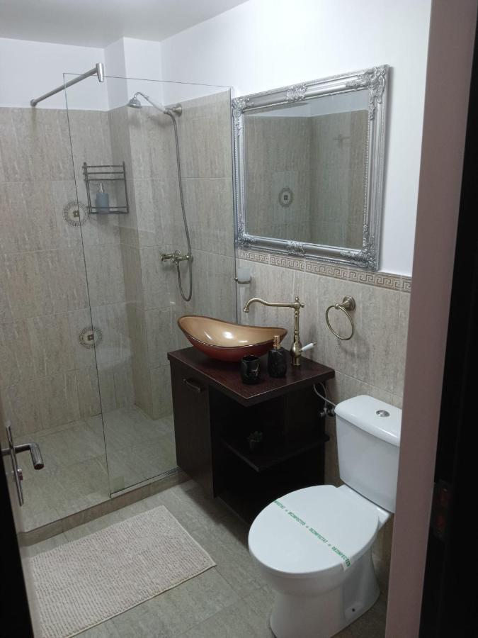 Karina House Apartment Брашов Екстериор снимка