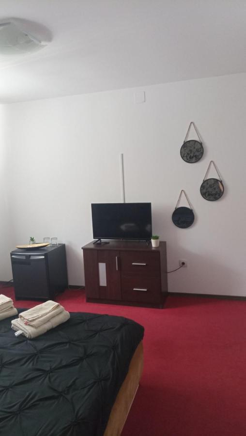 Karina House Apartment Брашов Екстериор снимка